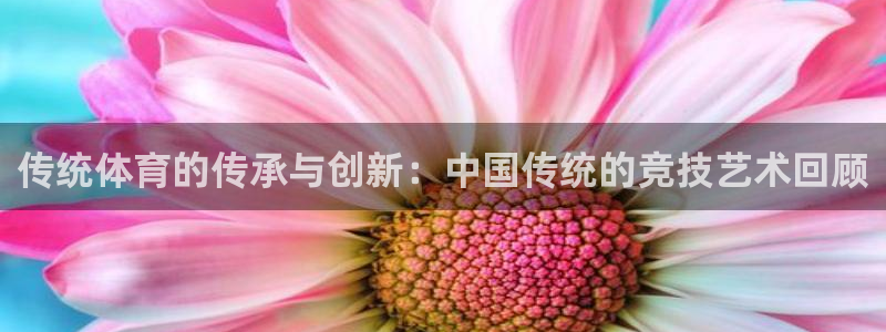 a8体育篮球