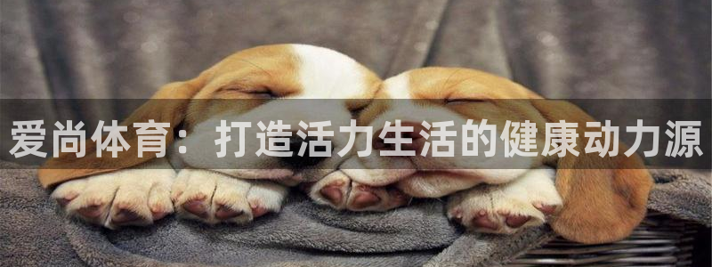 a8体育官网下载安装