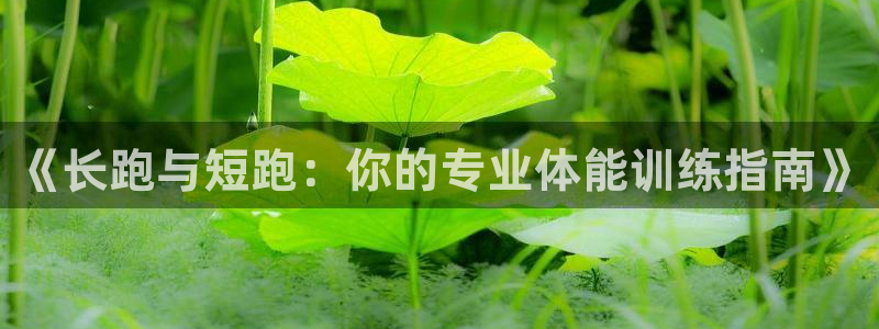 a8体育网页版：《长跑与短跑：你的专业体能训练指南》