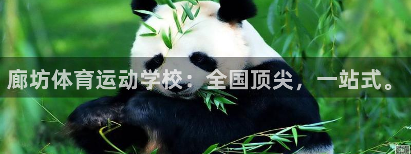 A8体育改名了吗：廊坊体育运动学校：全国顶尖，一站式。