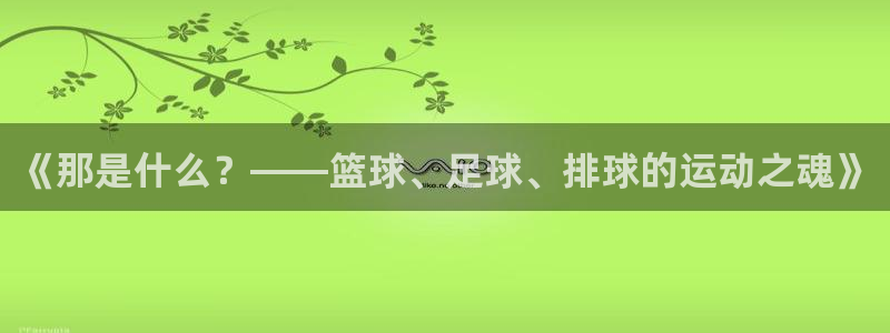 A8体育打不开
