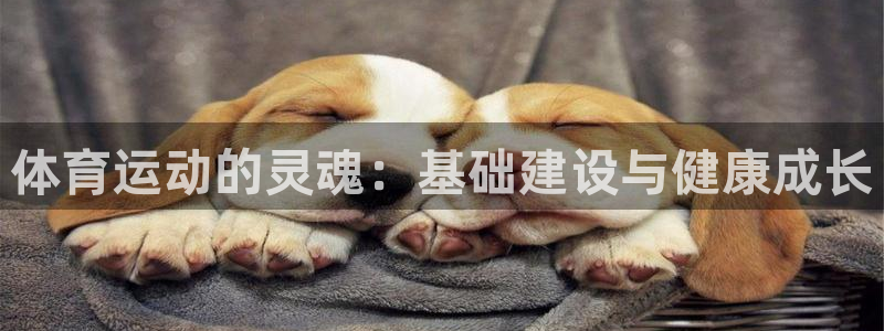 A8体育打不开