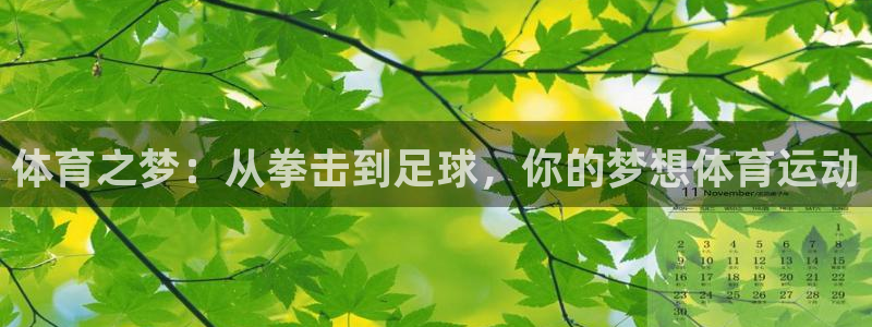 a8体育打不开