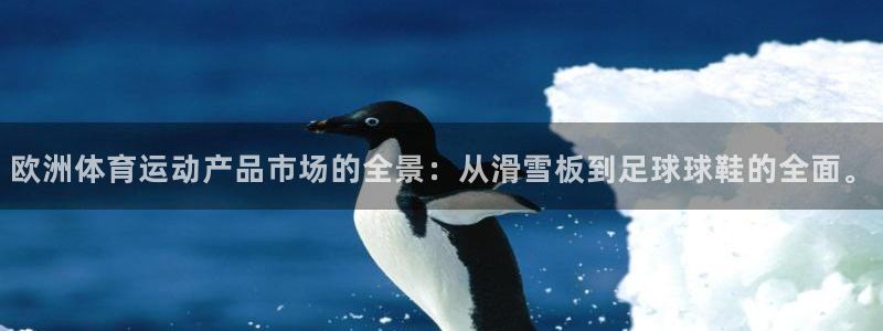 A8体育打不开